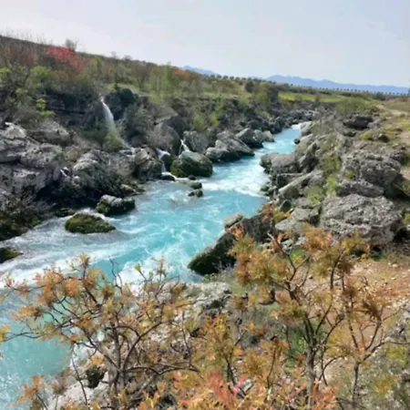 Niagara Podgorica